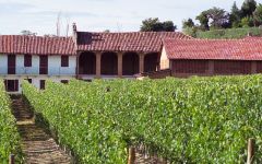 Ascheri La Morra and Verduno Estate Winery Image