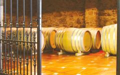 Bodegas Fillaboa Winery Image