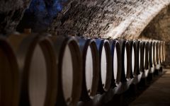 Jean-Paul Droin  Winery Image