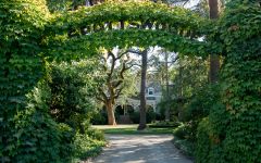 Spottswoode Estate Vineyard & Winery Winery Image