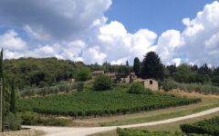 Castello di Monterinaldi  Winery Image