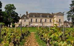 Chateau de Meursault Chateau de Meursault's Vineyard Winery Image