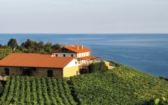 Txomin Etxaniz  Winery Image