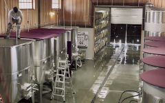 Masut Winery Image
