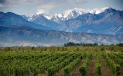 Sur de los Andes  Winery Image