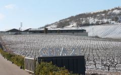 Bodegas Cepa 21 Cold Winters Winery Image