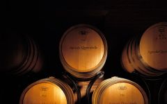 Querciabella Querciabella Barrels Winery Image