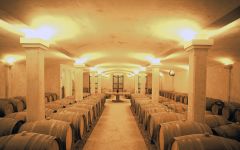 Hamilton Russell Maturation Cellar Winery Image