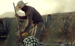 Arette Tequila Winery Image