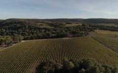 Chateau Beaulieu Paysage Vineyard Winery Image