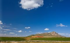 Bodegas Venta La Vega Almansa Winery Image