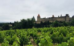 Faire La Fete Winery Image