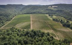 Renieri Aerial View of Renieri Winery Image