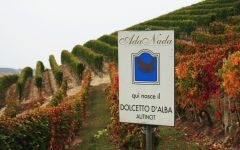 Ada Nada Ada Nada's Dolcetto plot Winery Image