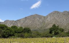 Boekenhoutskloof Vineyard Winery Image