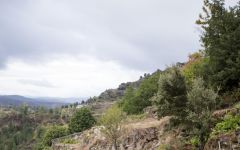 Ladeiras do Xil Steep and roughly-terraced vineyards Winery Image