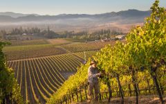 Abacela Earl Picking Harvest Winery Image