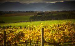 Yeringberg Winery The Picturesque Yarra Valley Winery Image