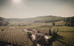 Pra Aerial View of Pra Winery Image