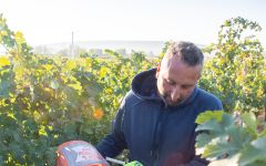 10,000 Hours Harvest Season Winery Image