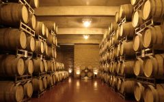 Ruca Malen Rucan Malen Barriques Winery Image