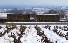 Domaine Michel Chignard Winery Image