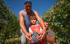 Vite Colte Winery Image