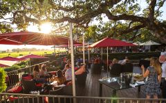 Mumm Napa Oak Terrace Winery Image