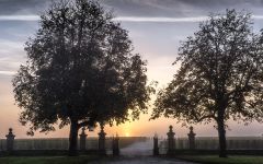 Petite Sirene Winery Image