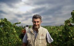 Domaine Gassier Michel Gassier's Winemaker Winery Image