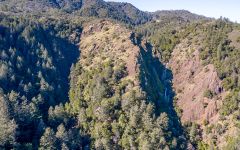 Great Women Spirits by Francis Ford Coppola Winery Image