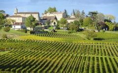 Chateau Durand-Laplagne Winery Image