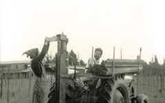 Ponzi Nancy and Dick Planting Estate Vineyard  Winery Image