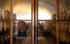 Toscolo  Winery Image