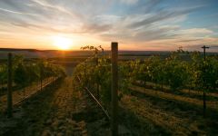 Waterbrook Walla Walla Valley Winery Image