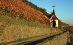 Zind-Humbrecht Historic Chapel of Rangen Grand Cru Winery Image