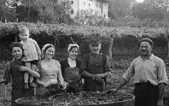 Mezzacorona The Farmers Winery Image