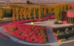 Chester-Kidder Long Shadows Vintners' Winery Winery Image