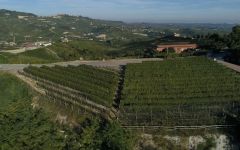 Arnaldo Rivera Rocche Dell'Annunziata & Boilo-La Morra Winery Image