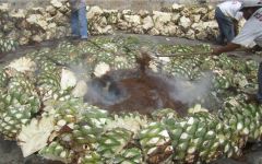 Fidencio Spirits Roasting the Agave Winery Image