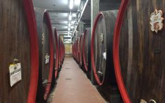 Castelli del Grevepesa  Winery Image