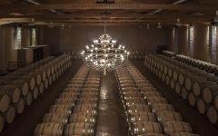 Emilio Moro Barrel Room Winery Image