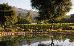 Landmark Vineyards Winery Image