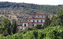 Frescobaldi Old House of Remole Winery Image