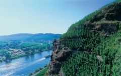 Clean Slate Winery Image