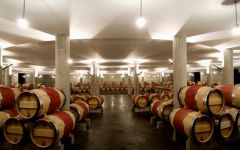 Chateau L'Evangile Winery Image