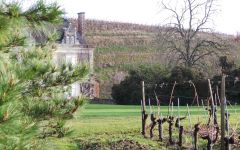 Chateau De La Roulerie  Winery Image