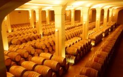 La Braccesca Winery Image