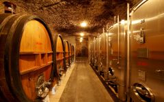 Pierre Chainier Winery Image
