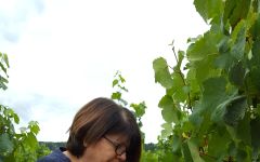 Nicolas Potel Brigitte Putzu, Winemaker Winery Image